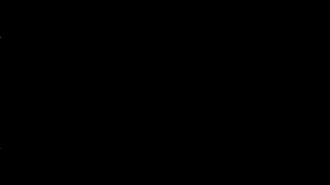 16982