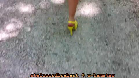 4081