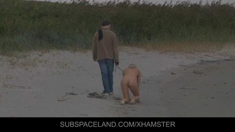 29294