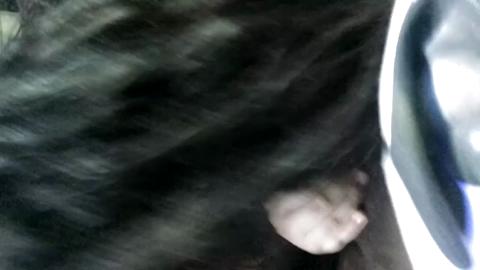28872