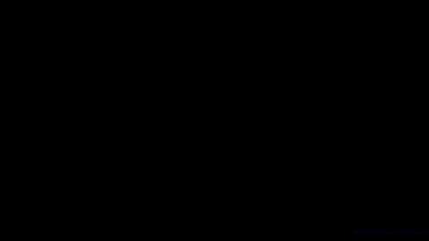 19117